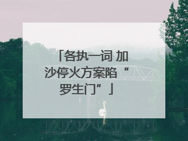 各执一词 加沙停火方案陷“罗生门”