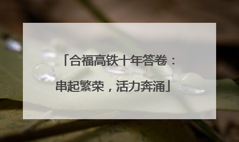 合福高铁十年答卷：串起繁荣，活力奔涌