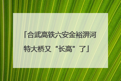 合武高铁六安金裕淠河特大桥又“长高”了
