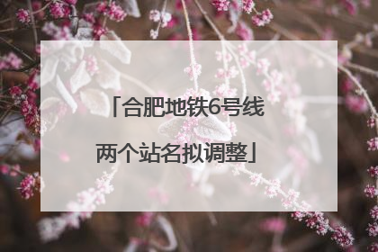 合肥地铁6号线两个站名拟调整