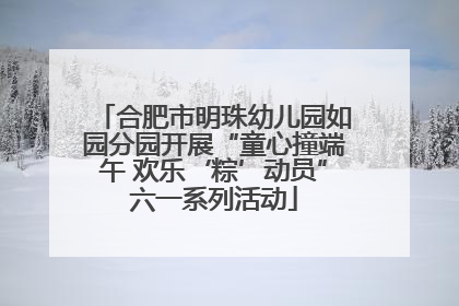 合肥市明珠幼儿园如园分园开展“童心撞端午 欢乐‘粽’动员”六一系列活动