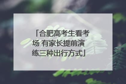 合肥高考生看考场 有家长提前演练三种出行方式