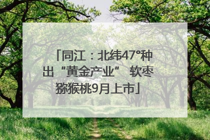 同江：北纬47°种出“黄金产业” 软枣猕猴桃9月上市