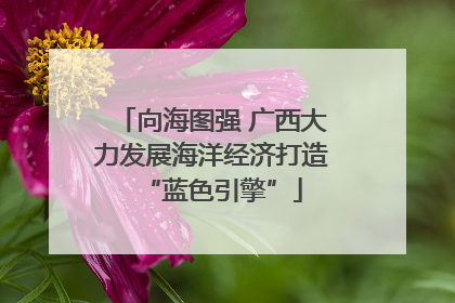 向海图强 广西大力发展海洋经济打造“蓝色引擎”