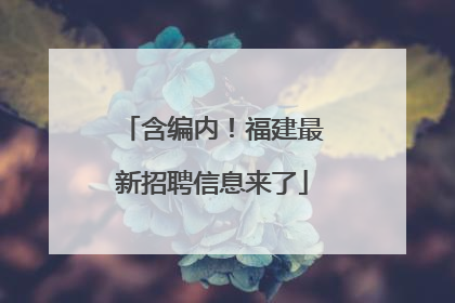 含编内！福建最新招聘信息来了