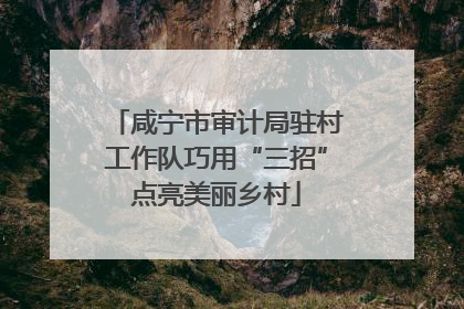 咸宁市审计局驻村工作队巧用“三招”点亮美丽乡村