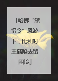 哈佛“禁招令”风波下，比利时王储陷去留困境