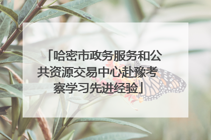 哈密市政务服务和公共资源交易中心赴豫考察学习先进经验