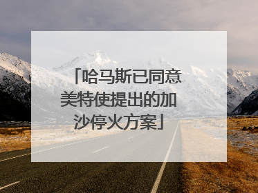 哈马斯已同意美特使提出的加沙停火方案