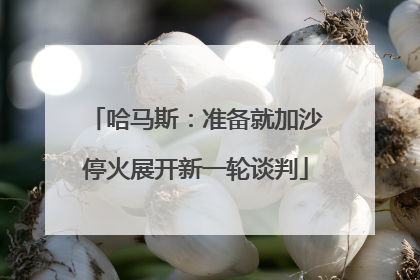 哈马斯：准备就加沙停火展开新一轮谈判