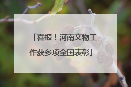 喜报！河南文物工作获多项全国表彰