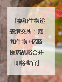 嘉和生物递表港交所：嘉和生物+亿腾医药战略合并即将收官