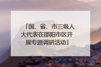 国、省、市三级人大代表在邵阳市区开展专题调研活动