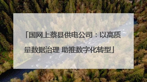 国网上蔡县供电公司：以高质量数据治理 助推数字化转型