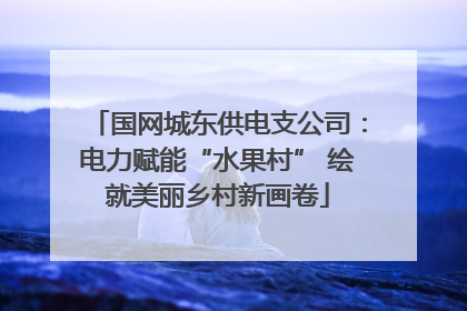 国网城东供电支公司：电力赋能“水果村” 绘就美丽乡村新画卷