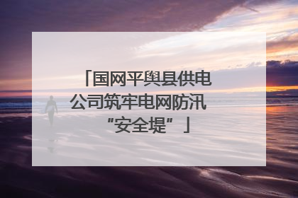 国网平舆县供电公司筑牢电网防汛“安全堤”