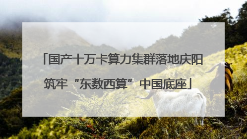 国产十万卡算力集群落地庆阳 筑牢“东数西算”中国底座