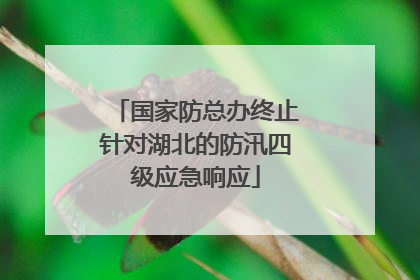 国家防总办终止针对湖北的防汛四级应急响应
