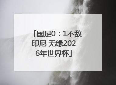 国足0：1不敌印尼 无缘2026年世界杯