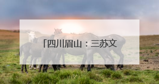四川眉山：三苏文化从街巷走向世界