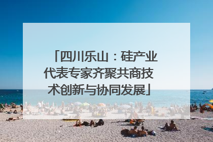 四川乐山：硅产业代表专家齐聚共商技术创新与协同发展