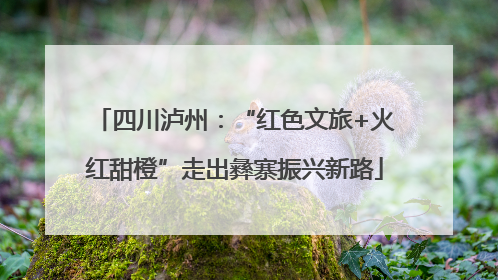 四川泸州：“红色文旅+火红甜橙”走出彝寨振兴新路