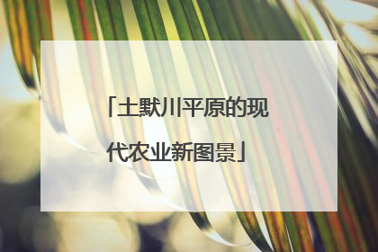土默川平原的现代农业新图景