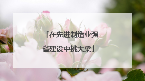 在先进制造业强省建设中挑大梁
