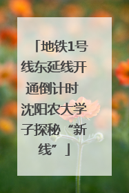 地铁1号线东延线开通倒计时 沈阳农大学子探秘“新线”