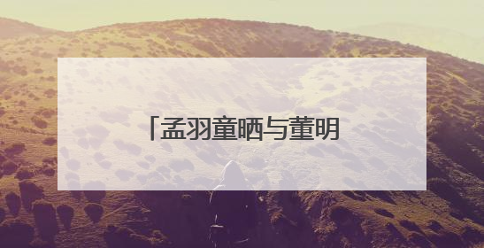 孟羽童晒与董明珠合照：感念曾经，未来珍重