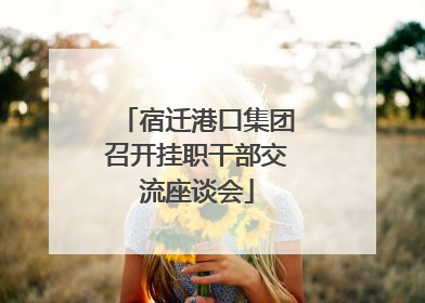 宿迁港口集团召开挂职干部交流座谈会