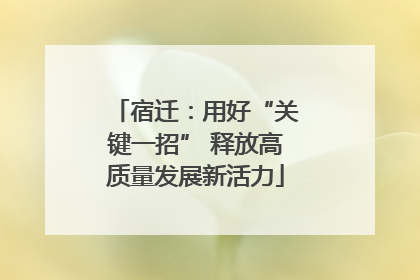 宿迁：用好“关键一招” 释放高质量发展新活力