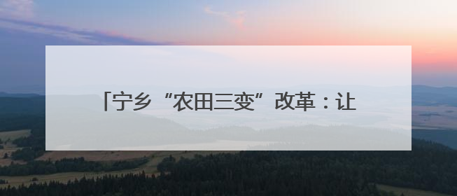宁乡“农田三变”改革：让种田人尝甜头的致富密码