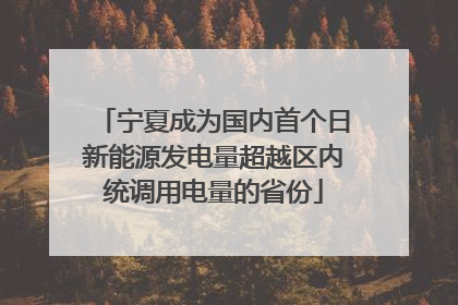 宁夏成为国内首个日新能源发电量超越区内统调用电量的省份