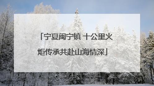 宁夏闽宁镇 十公里火炬传承共赴山海情深