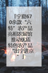 宁夏670余款“六特”农产品亮相农展馆 推动优质特色农产品“出宁进京”