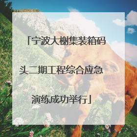 宁波大榭集装箱码头二期工程综合应急演练成功举行