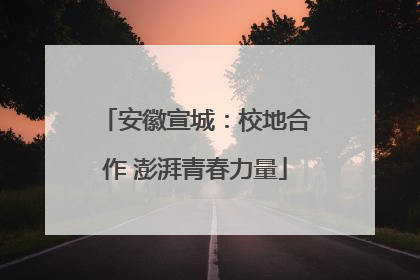 安徽宣城：校地合作 澎湃青春力量