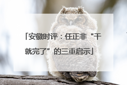 安徽时评：任正非“干就完了”的三重启示