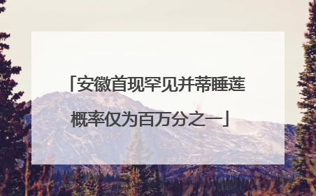 安徽首现罕见并蒂睡莲 概率仅为百万分之一