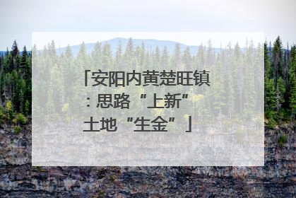 安阳内黄楚旺镇：思路“上新” 土地“生金”