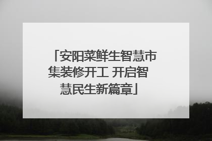 安阳菜鲜生智慧市集装修开工 开启智慧民生新篇章