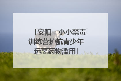 安阳：小小禁毒训练营护航青少年远离药物滥用