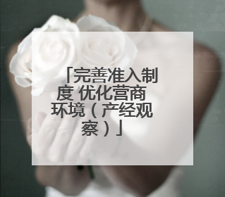 完善准入制度 优化营商环境（产经观察）