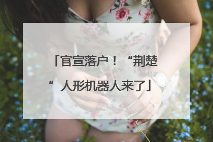 官宣落户！“荆楚”人形机器人来了
