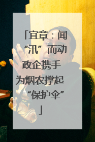 宜章：闻“汛”而动 政企携手为烟农撑起“保护伞”