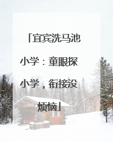 宜宾洗马池小学：童眼探小学，衔接没烦恼