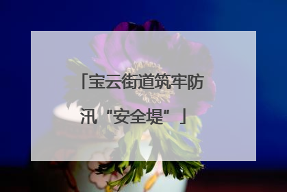 宝云街道筑牢防汛“安全堤”