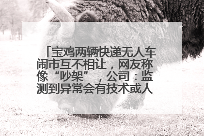 宝鸡两辆快递无人车闹市互不相让，网友称像“吵架”，公司：监测到异常会有技术或人为干预处置