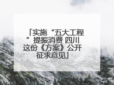 实施“五大工程”提振消费 四川这份《方案》公开征求意见